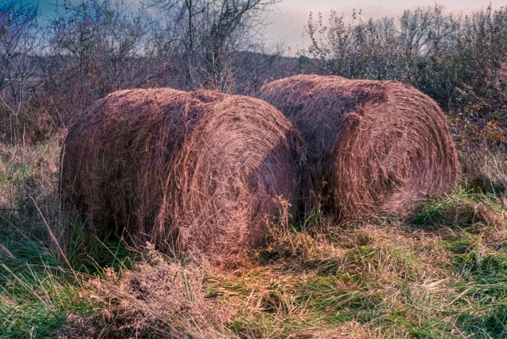 Haystacks, shot on Fuji C200