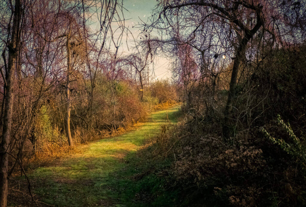 Pathway lit by a golden light
