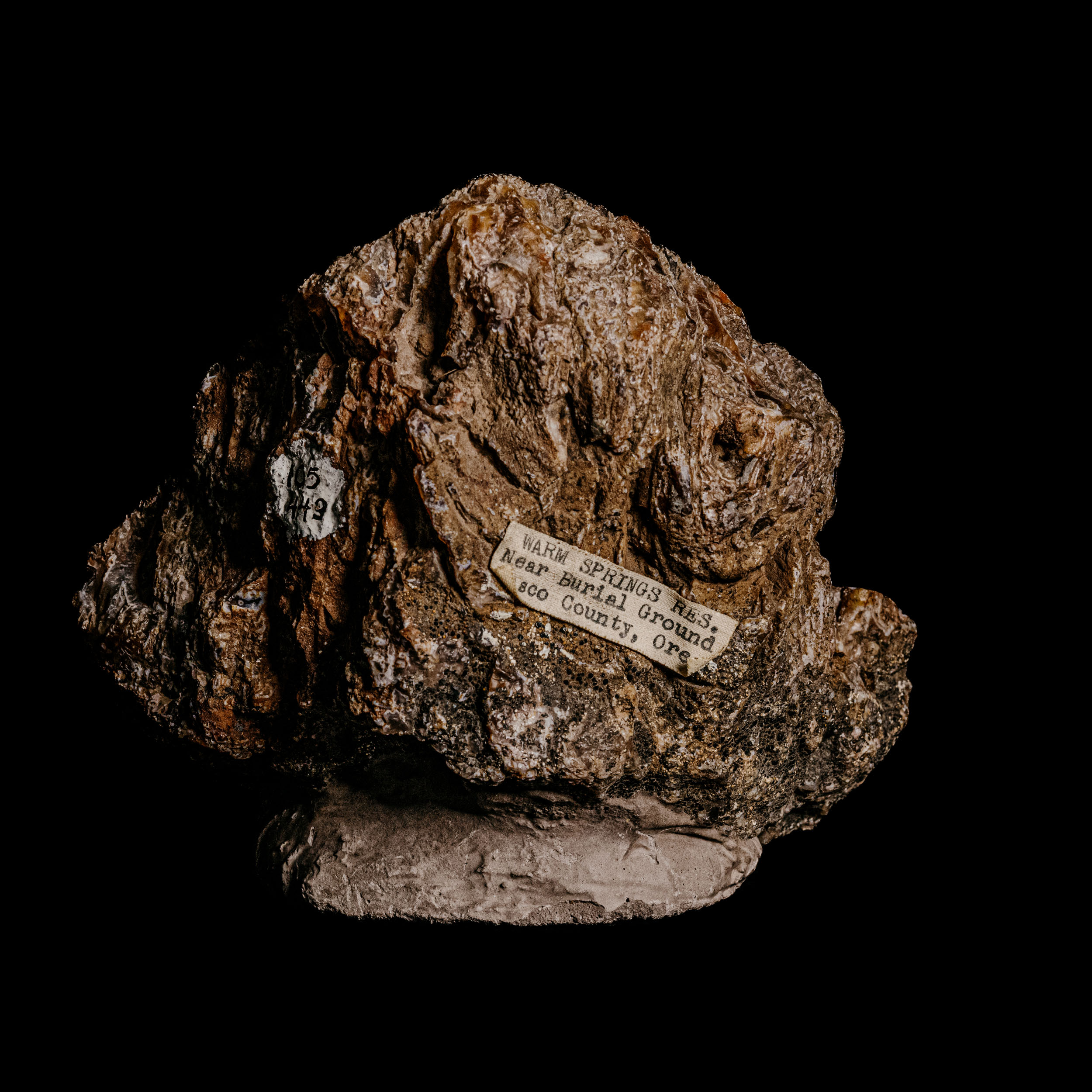 Deen-Sanwal_OMSI-77 The rock sat silently, rough and unyielding, its surface a mosaic of dark brown and gray. Against the abyssal black background, it appeared both monumental and mundane, a relic of nature’s artistry. Attached to it was a small label: “Warm Springs, near Spirit Ground, Esc Co., Oregon.” These words whispered tales of distant lands and ancient times. The rock seemed to carry within it the echoes of those who had once stood on its ground—perhaps lives lived long ago in an Oregon now altered by time yet somehow preserved in this solitary fragment.