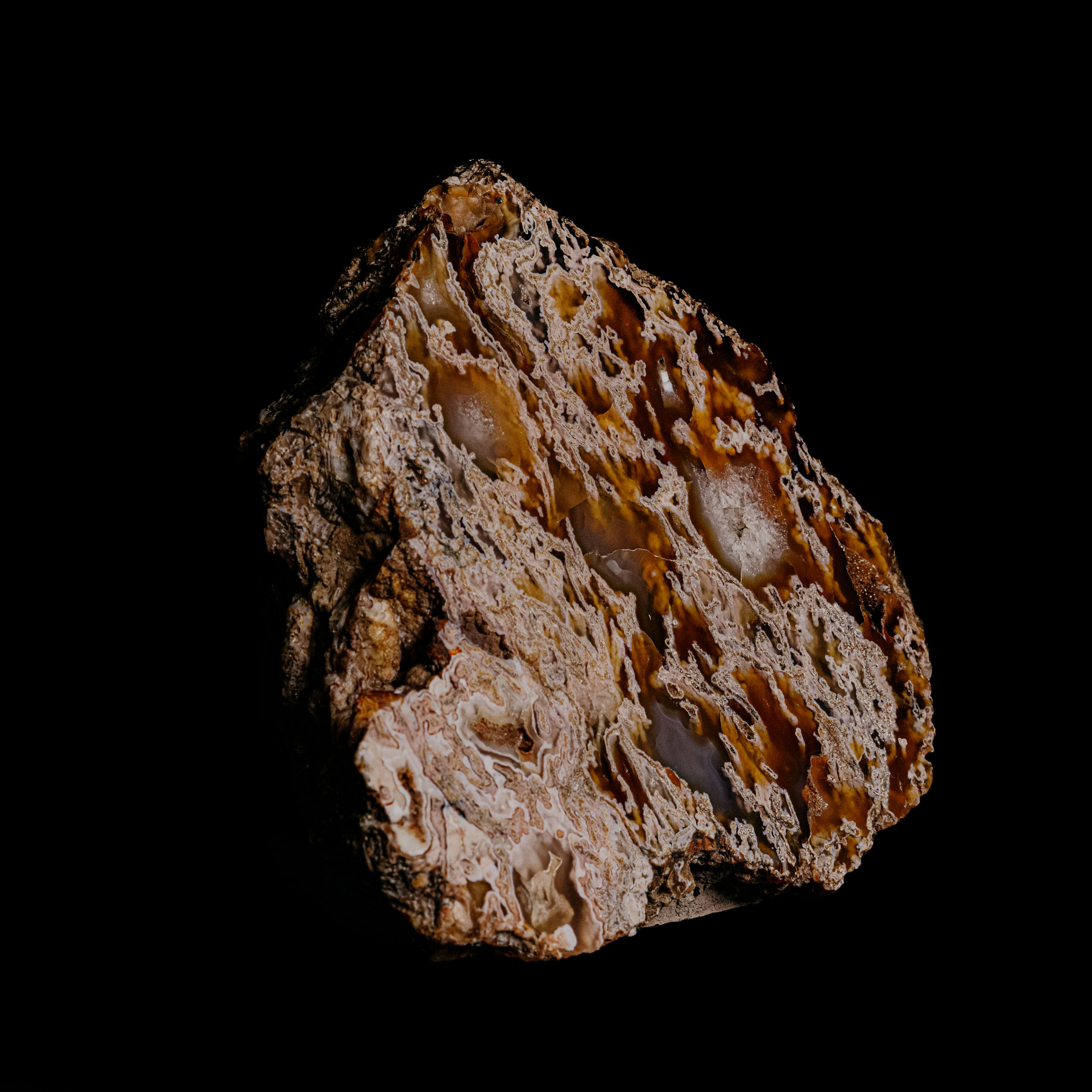 Deen-Sanwal_OMSI-80 A rough, unpolished rock rests against a backdrop of infinite blackness. Its surface, an intricate tapestry of patterns in brown, beige, and white, tells a story etched by time. Swirls and layers intertwine across its textured facade, whispering secrets of the earth's ancient whispers. The rock stands like an artifact from a distant era, its beauty unmarred by the lack of refinement—a testament to nature's own artistry.
