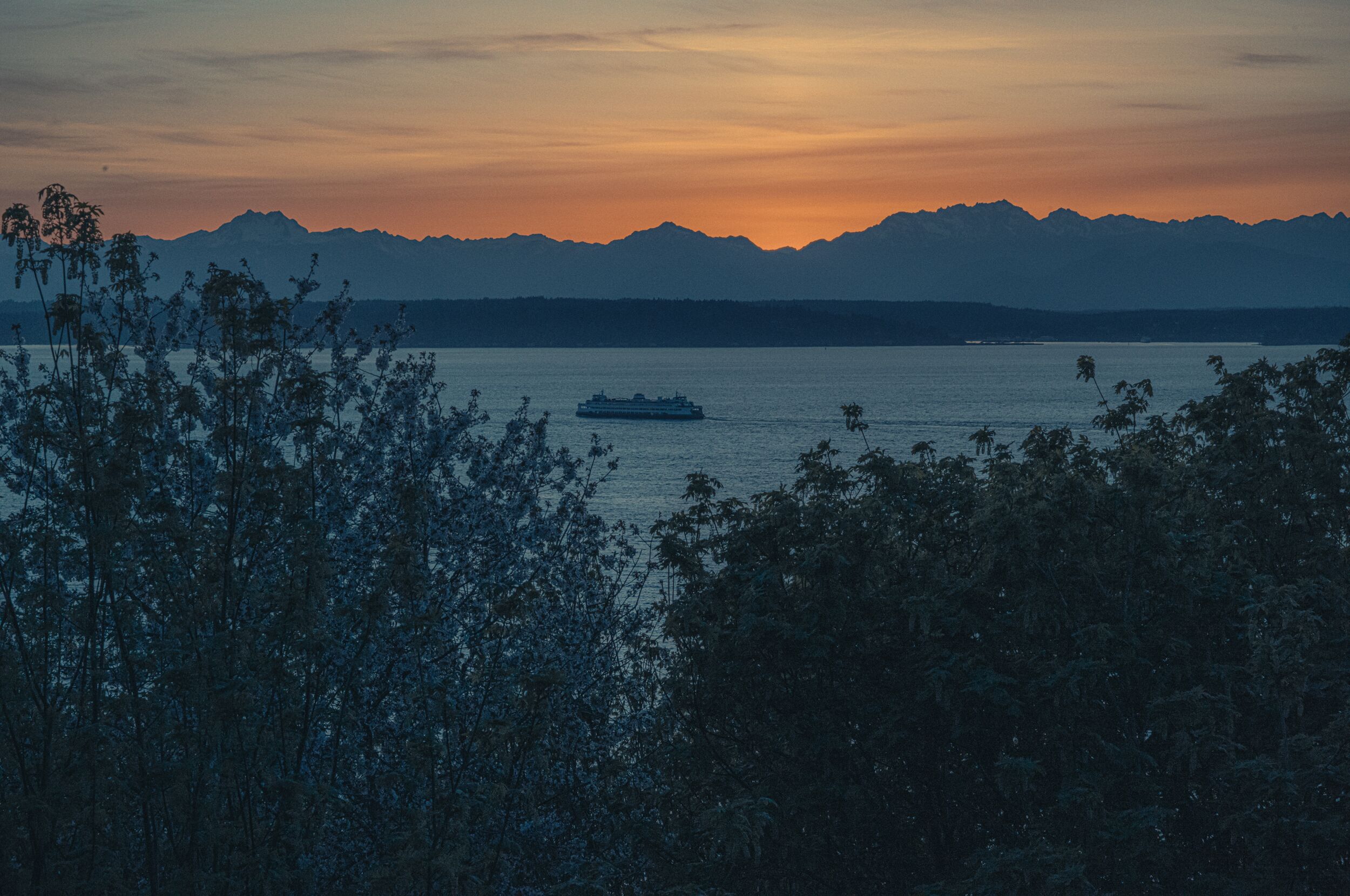 Deen-Sanwal-Seattle-39