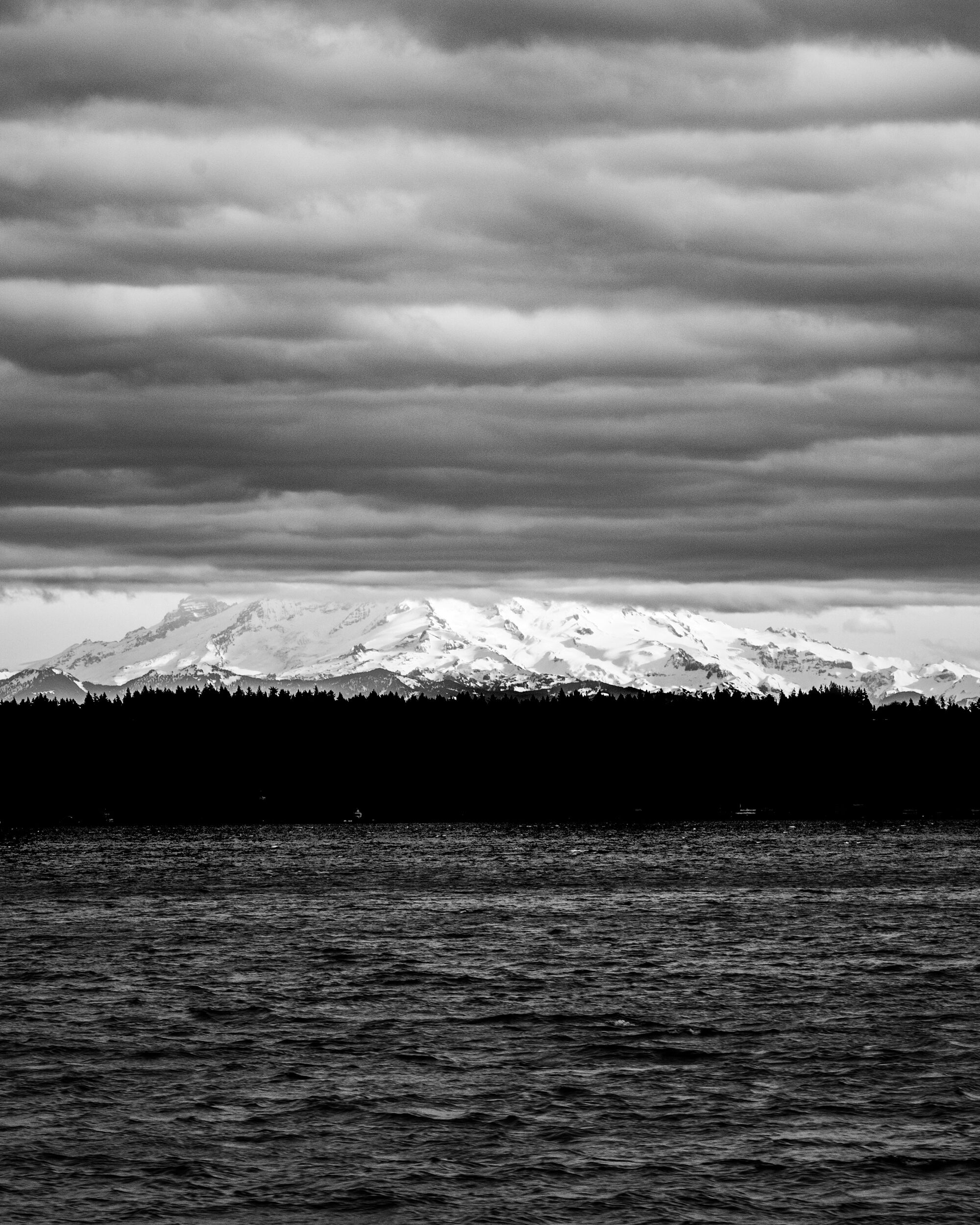 Deen-Sanwal-Seattle-40