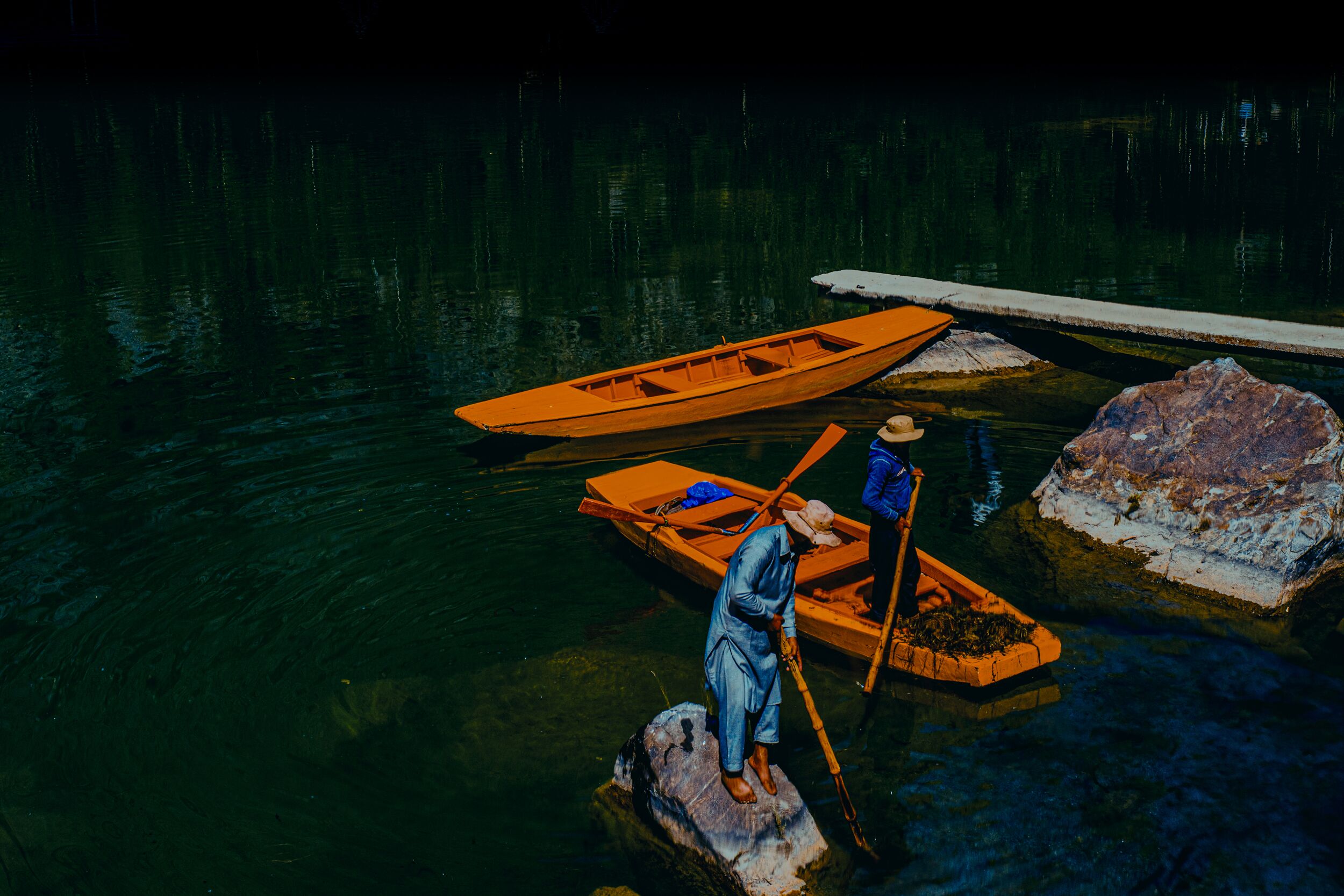 Deen-Sanwal-home-for-water-lillies-boat